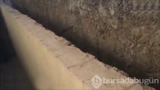 İnsanlığın utanç fotoğrafı! Bu halde bulunmuştu, işte son hali!