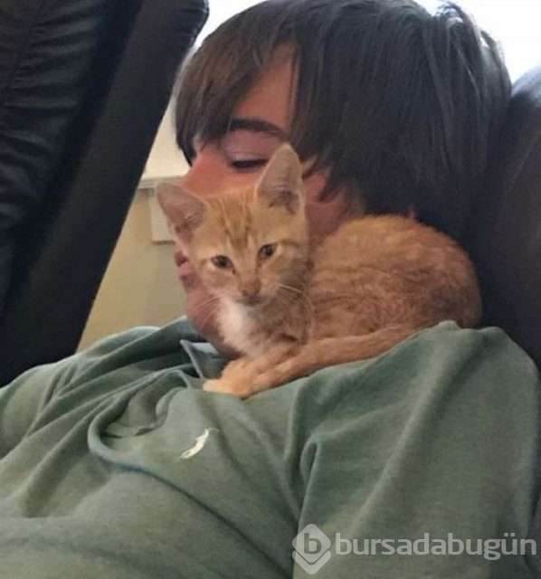 İnsanlığın utanç fotoğrafı! Bu halde bulunmuştu, işte son hali!