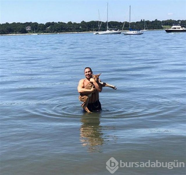 İnsanlığın utanç fotoğrafı! Bu halde bulunmuştu, işte son hali!