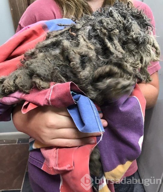 İnsanlığın utanç fotoğrafı! Bu halde bulunmuştu, işte son hali!