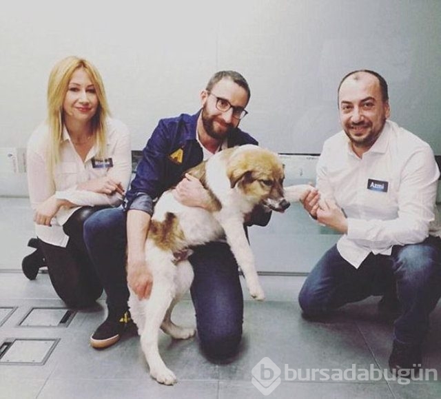 İnsanlığın utanç fotoğrafı! Bu halde bulunmuştu, işte son hali!