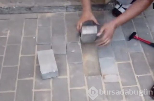 İnsanlığın utanç fotoğrafı! Bu halde bulunmuştu, işte son hali!