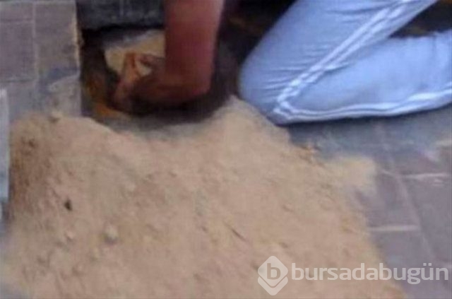 İnsanlığın utanç fotoğrafı! Bu halde bulunmuştu, işte son hali!