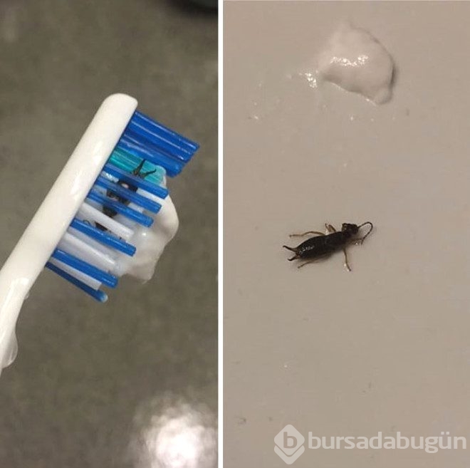 Bazı insanlar gerçekten çok şanslı