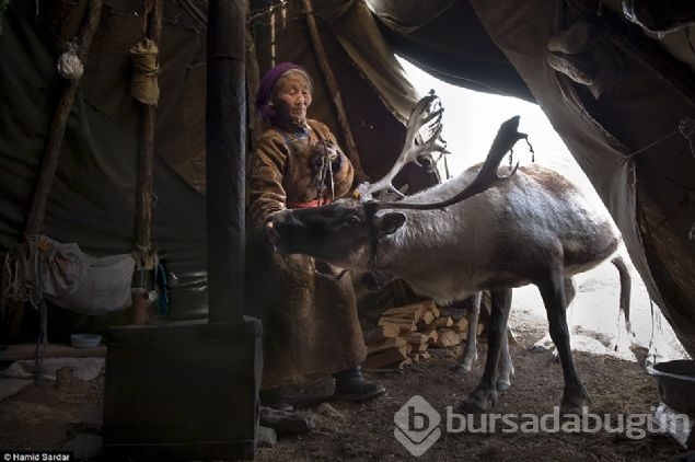 Vahşi doğada böyle hayatta kalıyorlar
