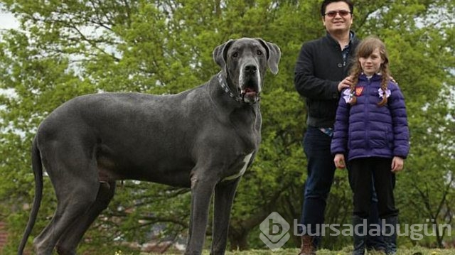 Dünyanın en garip hayvanları

