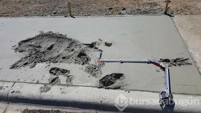 Kendinizi şanssız hissediyorsanız bir de bu fotoğraflara bakın!
