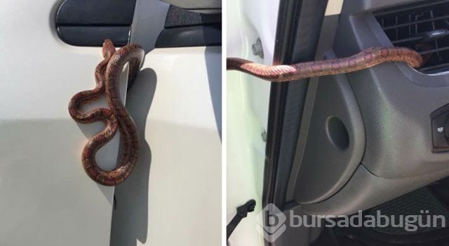 Kendinizi şanssız hissediyorsanız bir de bu fotoğraflara bakın!
