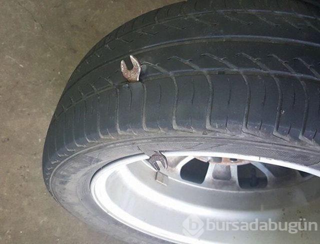 Kendinizi şanssız hissediyorsanız bir de bu fotoğraflara bakın!
