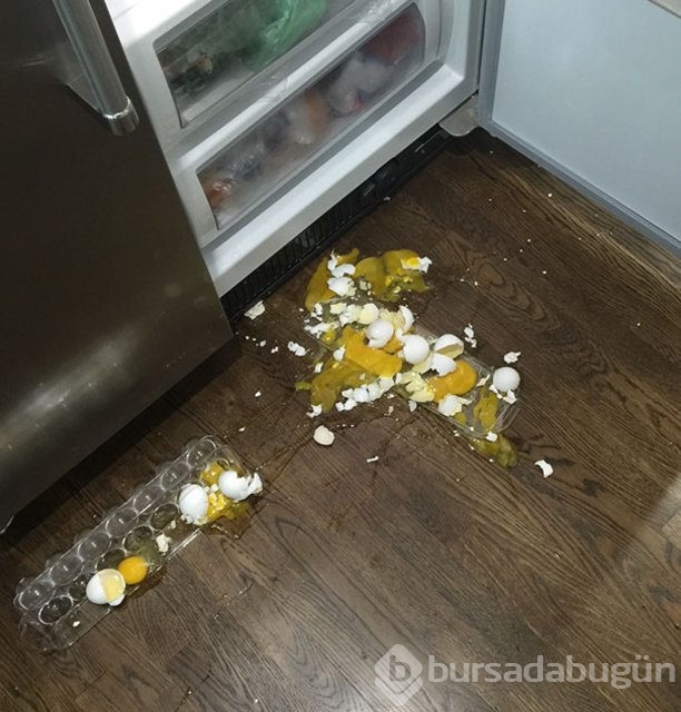 Kendinizi şanssız hissediyorsanız bir de bu fotoğraflara bakın!
