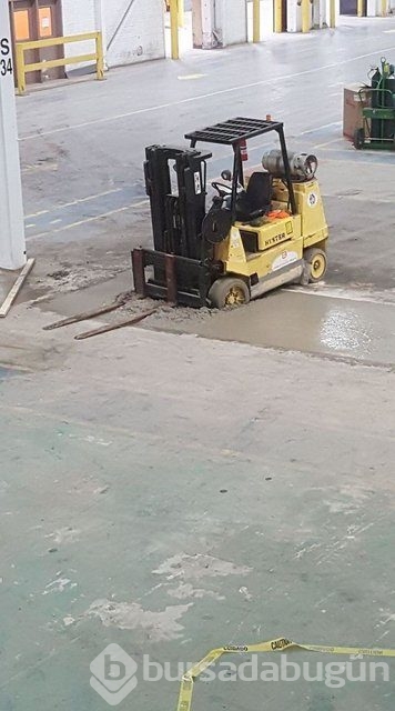 Kendinizi şanssız hissediyorsanız bir de bu fotoğraflara bakın!
