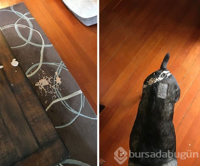 Kendinizi şanssız hissediyorsanız bir de bu fotoğraflara bakın!
