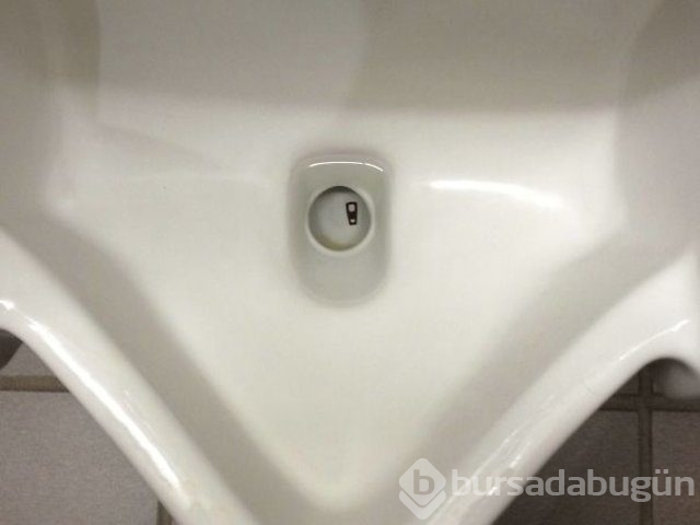 Kendinizi şanssız hissediyorsanız bir de bu fotoğraflara bakın!
