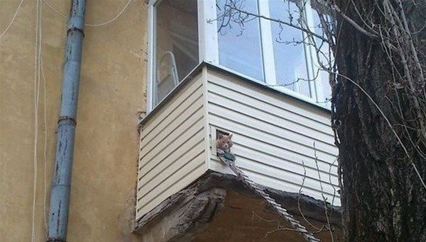 Rusya'nın çılgın balkonları