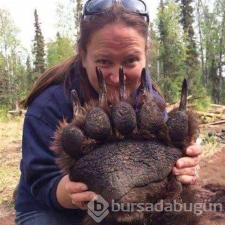 Şaşırtan fotoğraflar