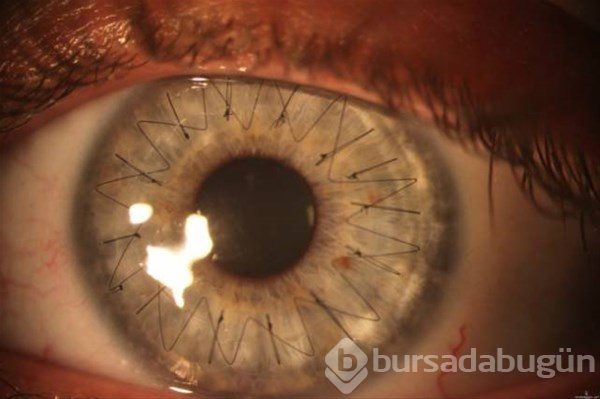Şaşırtan fotoğraflar