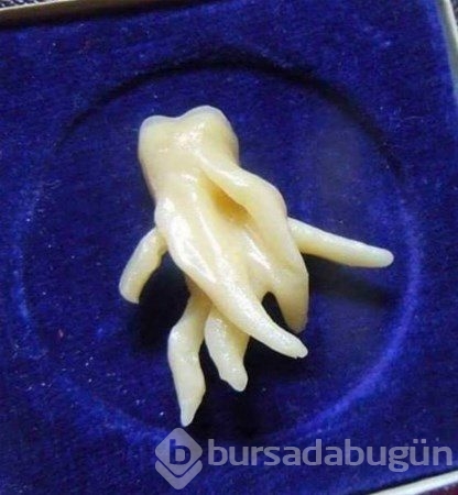 Şaşırtan fotoğraflar