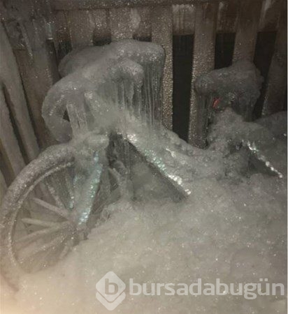 Şaşırtan fotoğraflar