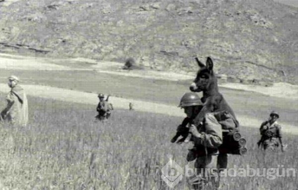 En etkileyici 61 tarihi fotoğraf
