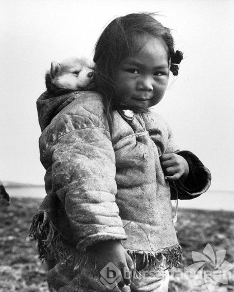 En etkileyici 61 tarihi fotoğraf
