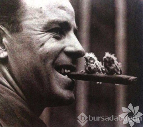 En etkileyici 61 tarihi fotoğraf
