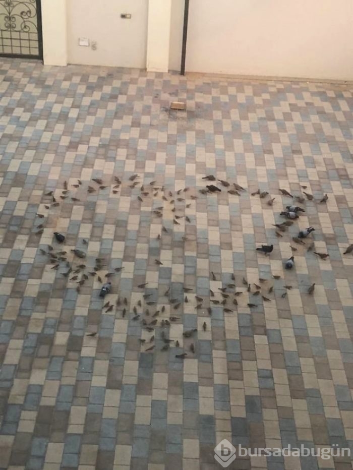 Yüreğinizi iyilikle ısıtacak kareler
