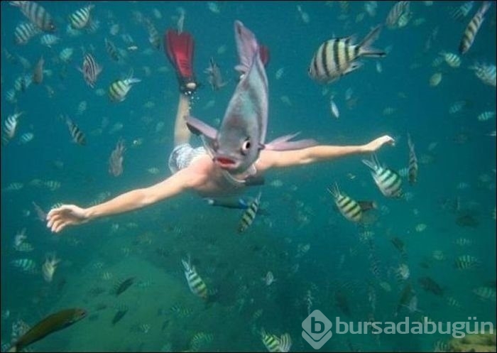 Tam zamanında yakalanan fotoğraflar