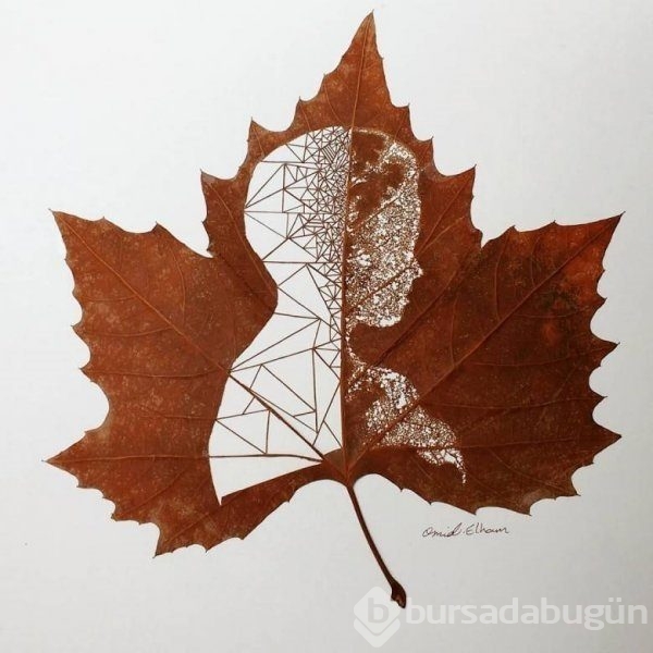 Sanat eserine dönüştürülen kuru yapraklar
