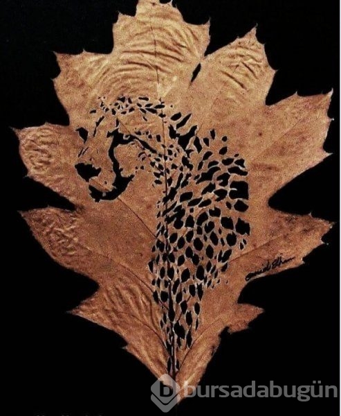 Sanat eserine dönüştürülen kuru yapraklar
