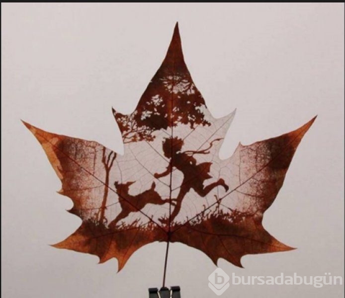 Sanat eserine dönüştürülen kuru yapraklar
