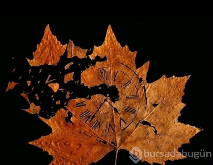Sanat eserine dönüştürülen kuru yapraklar
