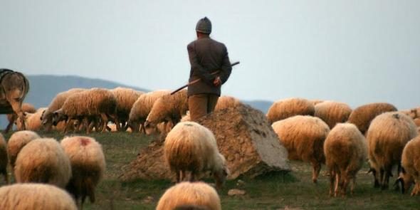 En çok bu meslek grupları aldatıyor