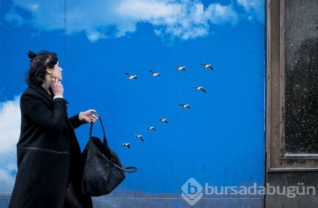 Bu fotoğraflar ilk baktığınız gibi değil!