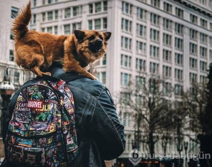 Sosyal medyanın en ilginç fotoğrafları
