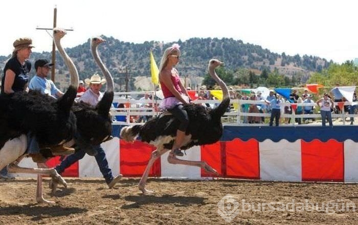 Sosyal medyanın en ilginç fotoğrafları