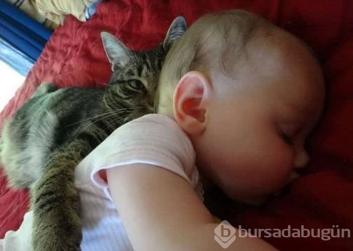 Sosyal medyanın en ilginç fotoğrafları