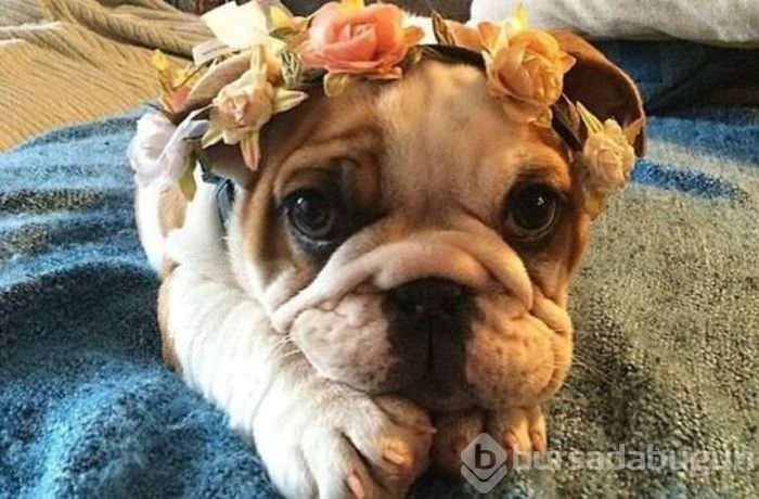 Sosyal medyanın en ilginç fotoğrafları