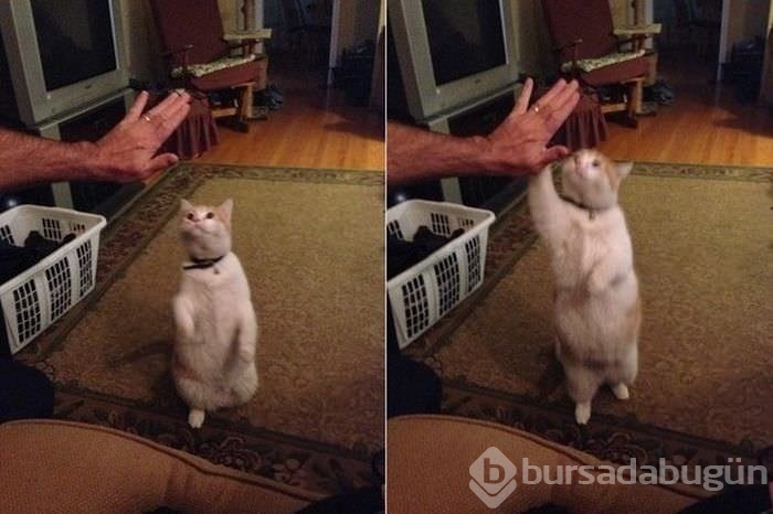 Sosyal medyanın en ilginç fotoğrafları