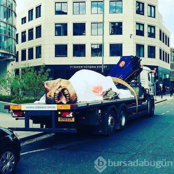 Sosyal medyanın en ilginç fotoğrafları