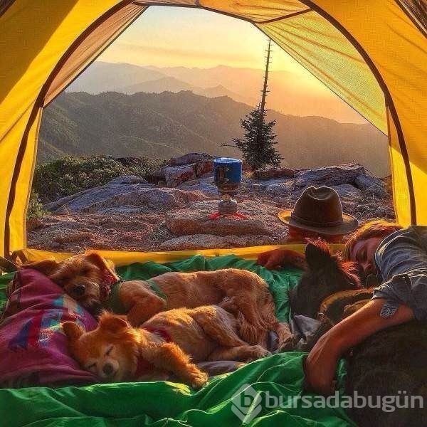 Sosyal medyanın en ilginç fotoğrafları