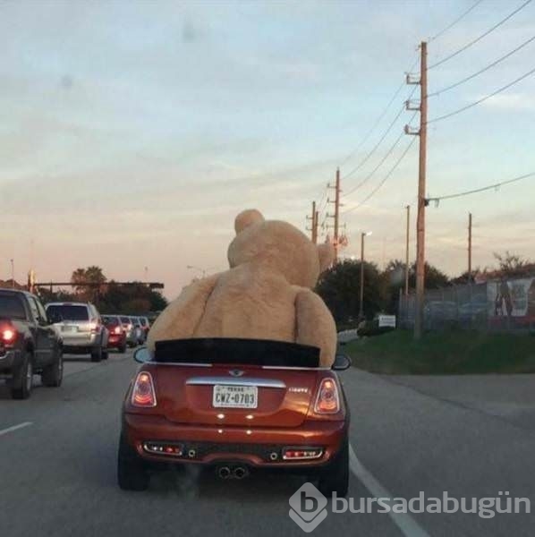 Sosyal medyanın en ilginç fotoğrafları