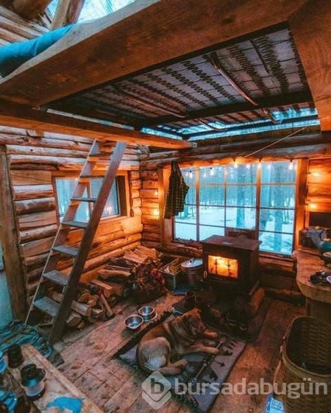 Sosyal medyanın en ilginç fotoğrafları