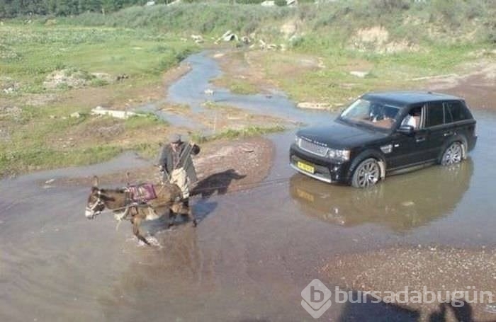 Sosyal medyanın en ilginç fotoğrafları