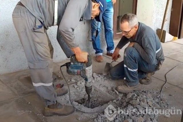 Son anda hayata döndürülen sevimli dostlarımız 