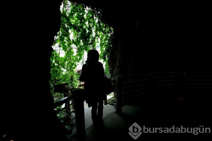 Konya Tropikal Bahçesi'nin kelebekleri görülmeye değer 