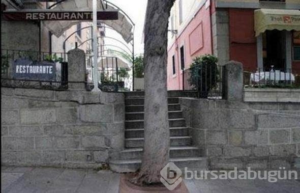 Yok artık! Dedirten mühendislik hataları
