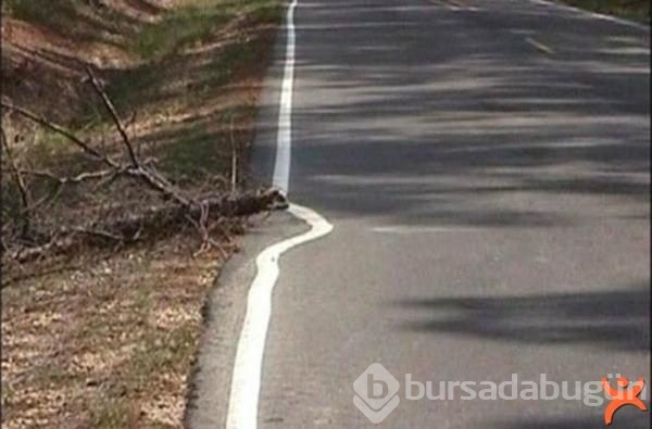 Tembellikte ödül alacak insanlar!