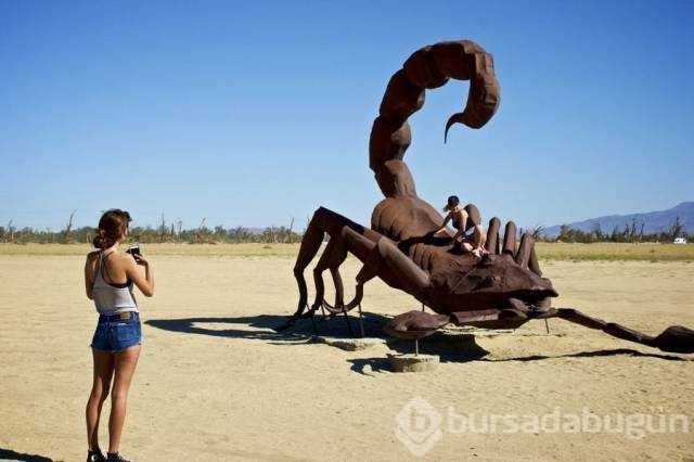 Günün en çok paylaşılan fotoğrafları