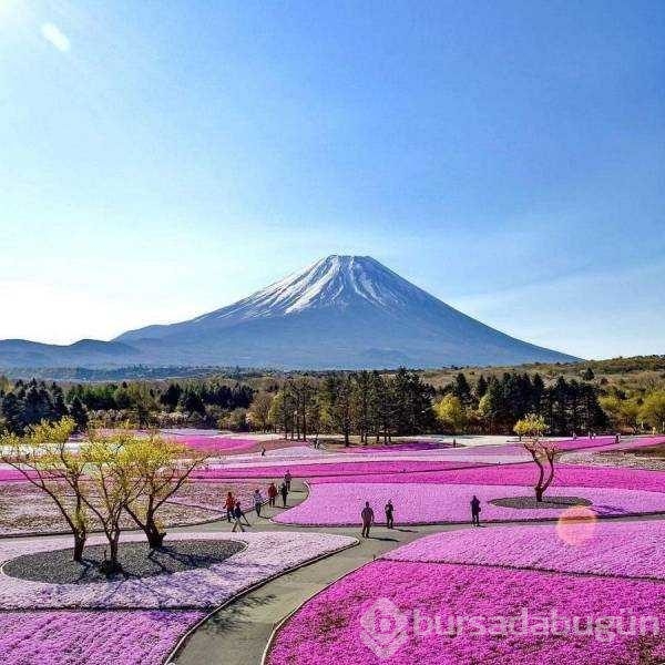 Günün en çok paylaşılan fotoğrafları
