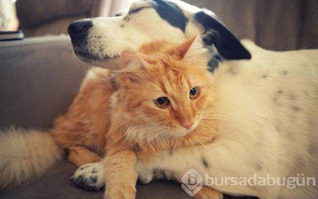 Günün en çok paylaşılan fotoğrafları